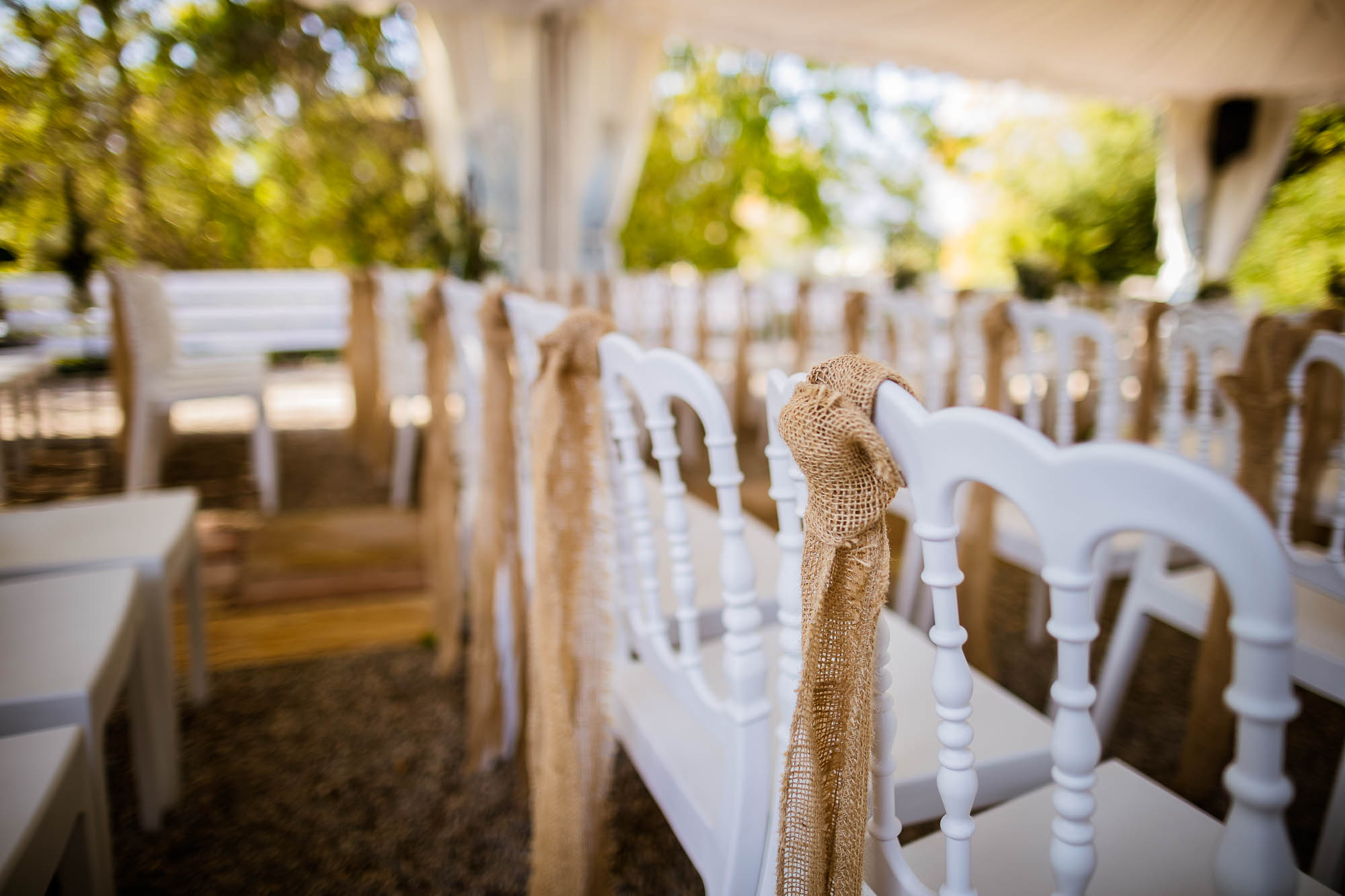 Export x3 1DX26733 Hochzeit 2019 Tatjana und Hermann